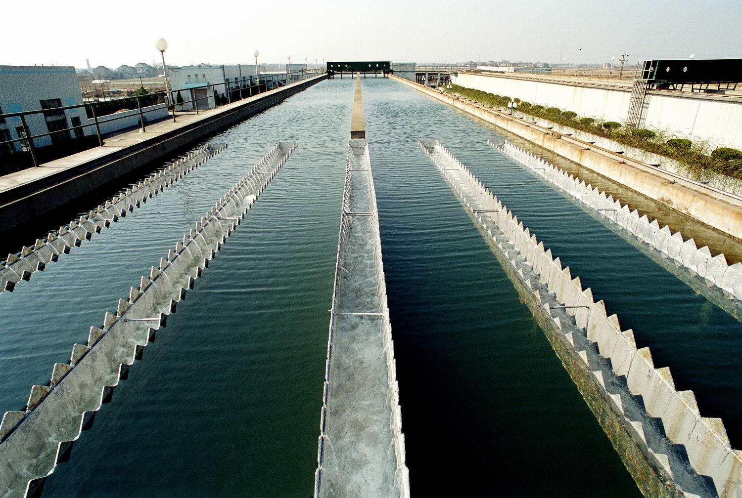 東莞消泡劑-廣東東莞袁小姐酒廠污水處理消泡劑使用和應用案例